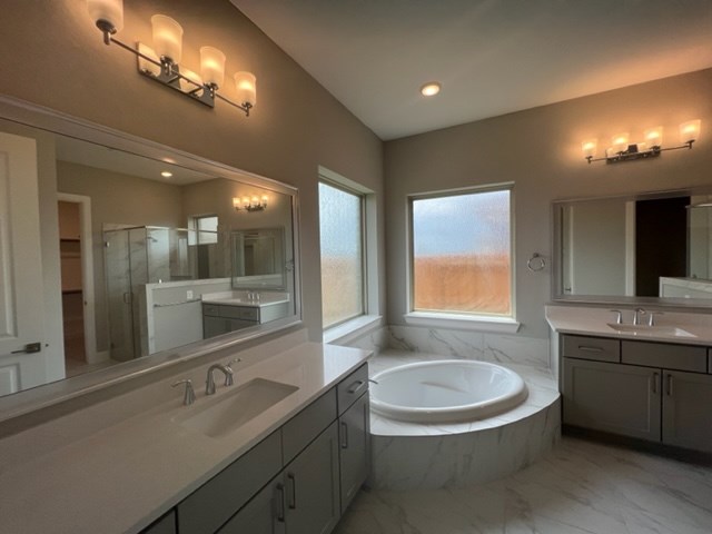 Owner's Bath